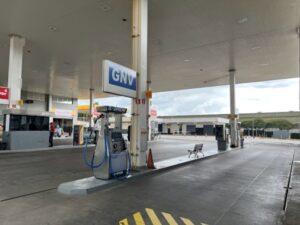 Posto de abastecimento Shell em campinas com dispenser de alta vazão Gasprom